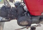 Walton Cruize 100 2020