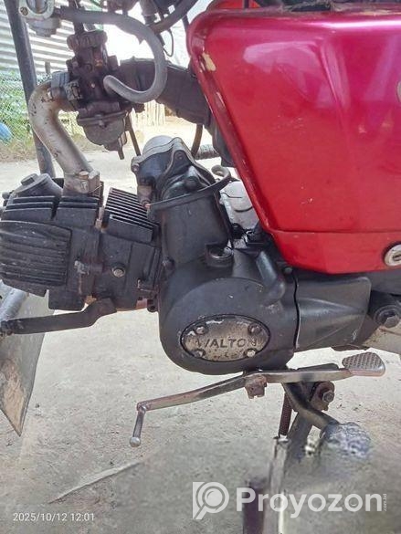 Walton Cruize 100 2020