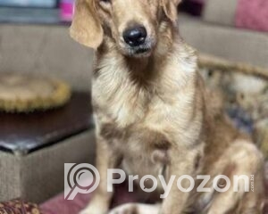 fitted-66_2025-10-21_10-36-10