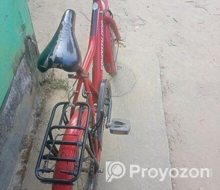 Bicycle for sale