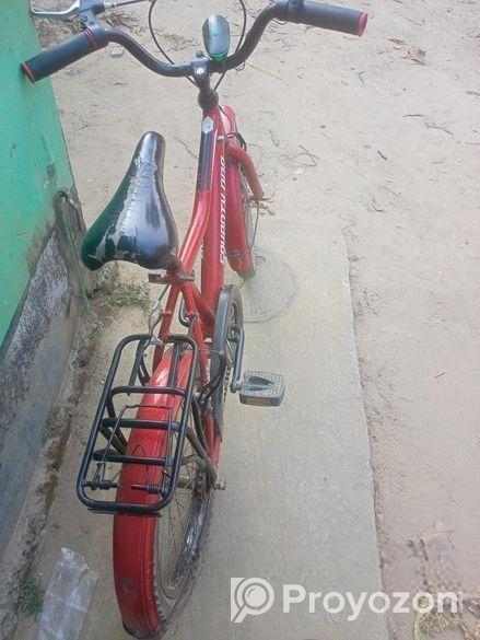Bicycle for sale