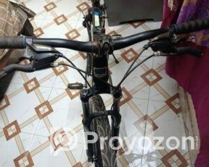 fitted-66_2025-10-27_12-35-21