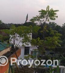 fitted-66_2025-10-29_11-03-59