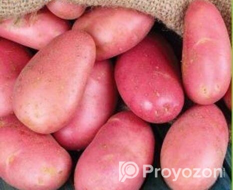 ফ্রেশ লাল আলু