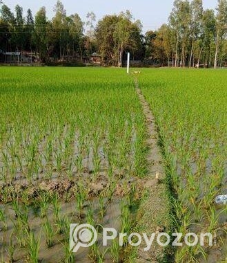 Land For Sell