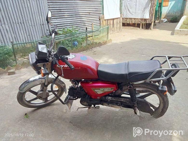 Walton Cruize 100 2020