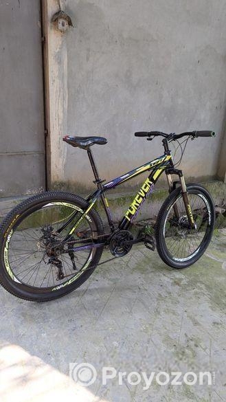 Forever new condition sycle