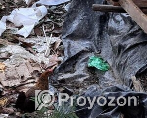 fitted-68_2025-10-21_10-38-58