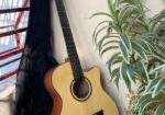 Deviser L-720A Acoustic Guitar