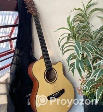 Deviser L-720A Acoustic Guitar