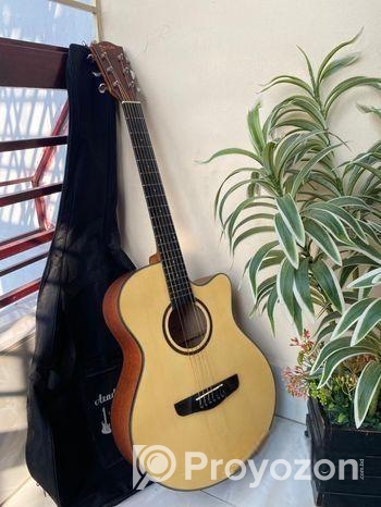 Deviser L-720A Acoustic Guitar