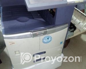 fitted-68_2025-10-30_17-44-45