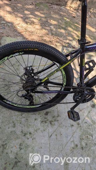 Forever new condition sycle