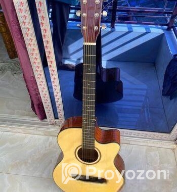 Deviser L-720A Acoustic Guitar