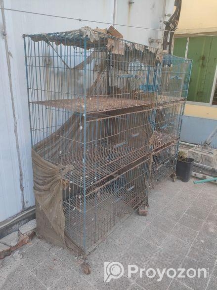 কবুতরের খাঁচা বিক্রি