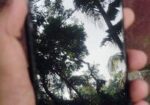 Xiaomi Redmi Note 10s (Used)