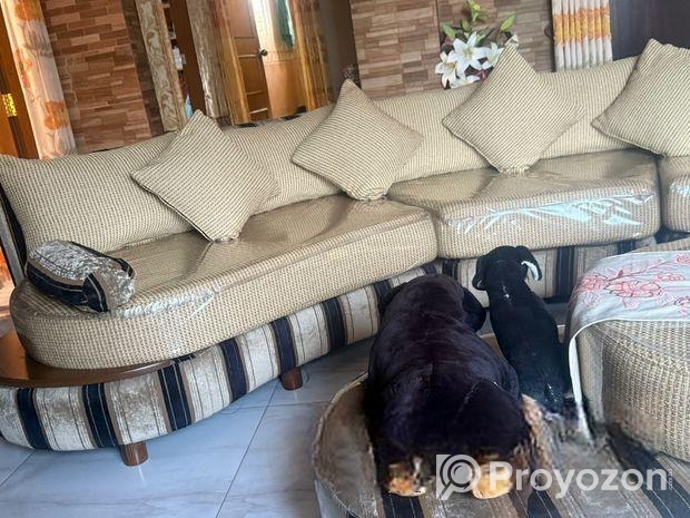 সোফাটি বিক্রয় করা হবে