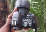 Camera,, canon 200D with 50mm STM prime lens 1.8..