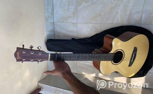 Deviser L-720A Acoustic Guitar