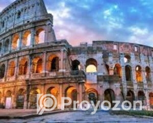 fitted-71_2025-10-28_17-48-16