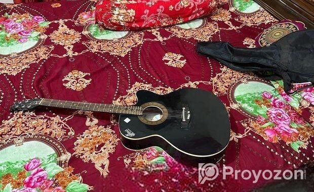 Signature Guitar