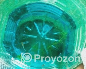 fitted-72_2025-10-23_10-40-56