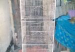 খাঁচা বিক্রি করা হবে