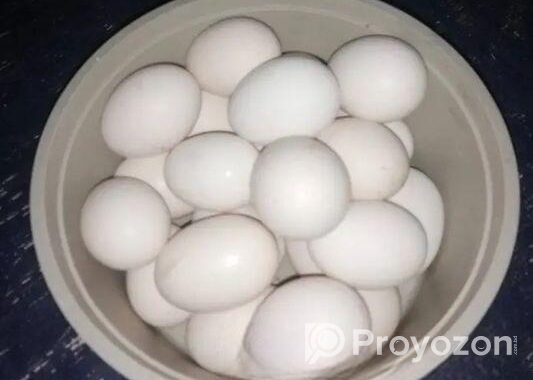 দেশি মুরগির ডিম