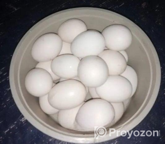 দেশি মুরগির ডিম