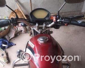 fitted-77_2025-10-06_10-26-42