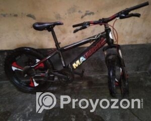 fitted-77_2025-10-13_23-58-47