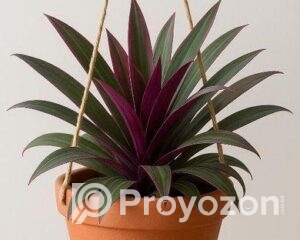 fitted-78_2025-10-28_18-08-52