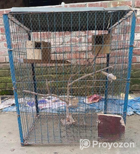 পাখির খাঁচা সেল