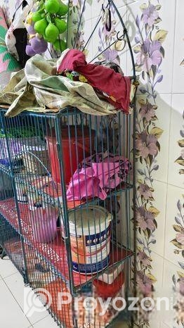 লোহার র‍্যাক