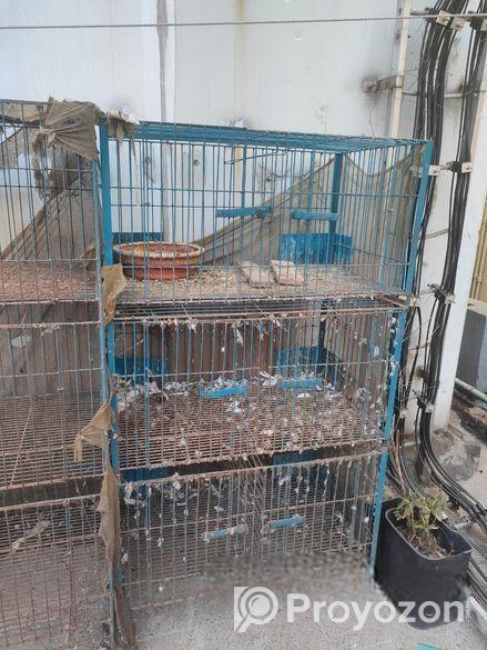 কবুতরের খাঁচা বিক্রি