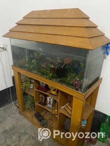 একটি মাছের একুরিয়াম