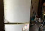 Freezer For Sale