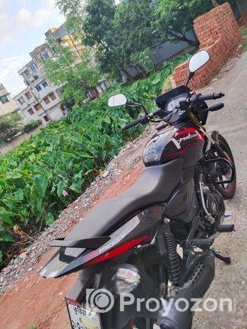 Bajaj Pulsar 150 কুষ্টিয়ার নাম্বার 2022