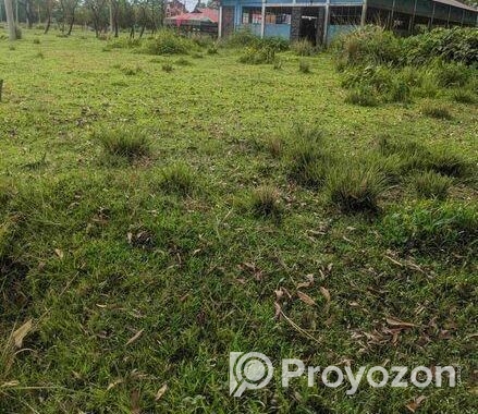 বটেশ্বরের ওয়ালি সিটিতে প্লট