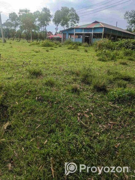 বটেশ্বরের ওয়ালি সিটিতে প্লট