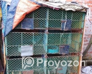 fitted-7_2025-10-21_12-34-06