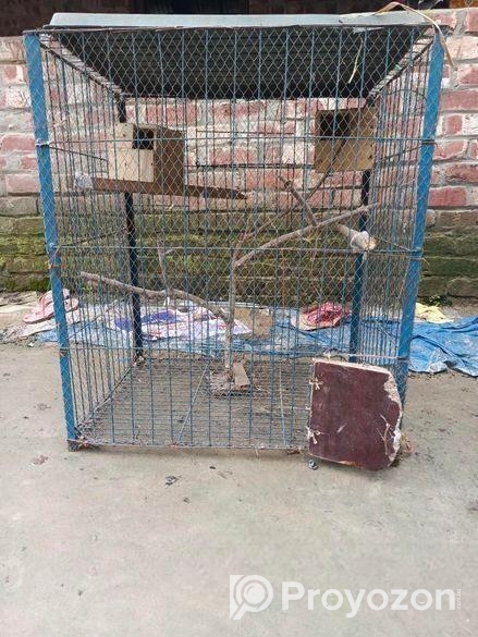 পাখির খাঁচা সেল