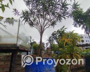 fitted-81_2025-10-06_11-33-35