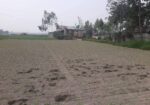 জরুরি প্রয়োজন এ জমি বিক্রি