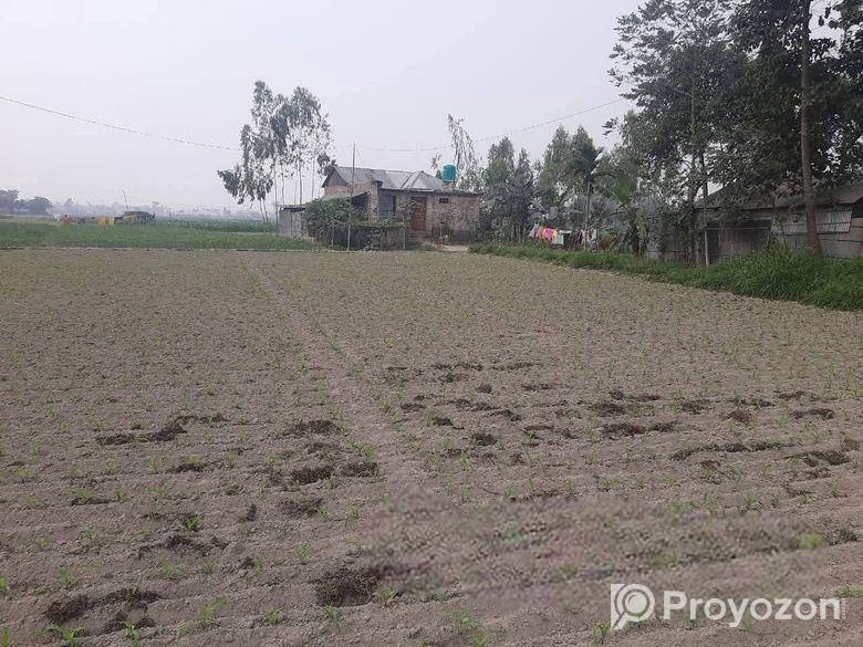 জরুরি প্রয়োজন এ জমি বিক্রি