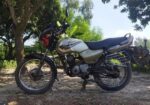 TVS Victor 110CC 2006