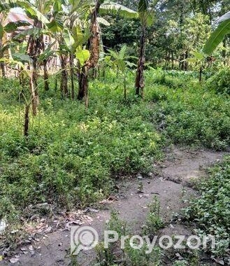 Land for sale