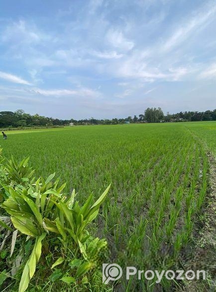 জামালপুরে ৫১.৪ কাঠা জমি বিক্রি হবে