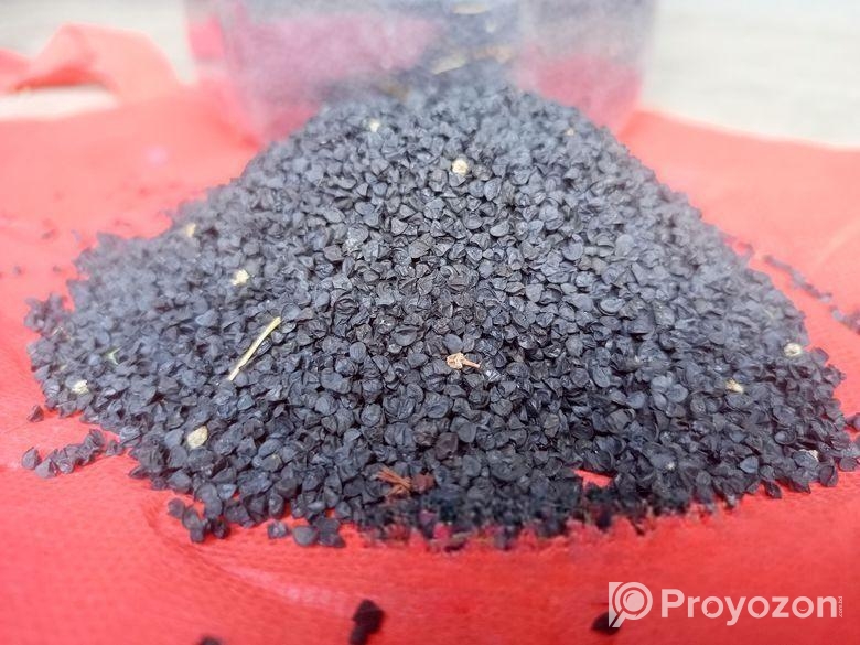 দেশী পেয়াজের বীজ