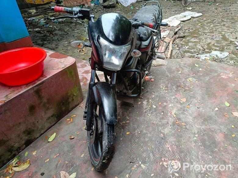 Runner Royal Plus . 2015